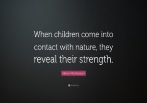 montessori quote about nature