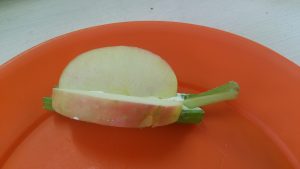 apple celery butterfly